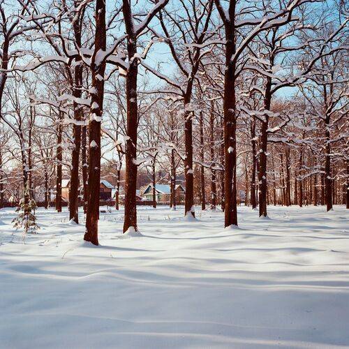 Пейзажи средней полосы