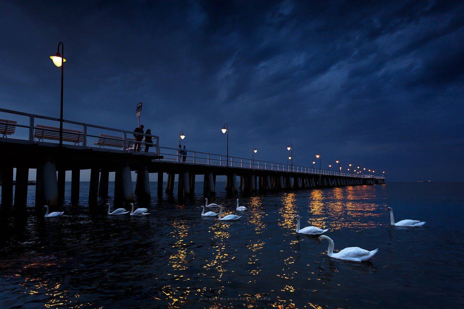 Гдыня, Польша, Gdynia, Poland, Michał Olech