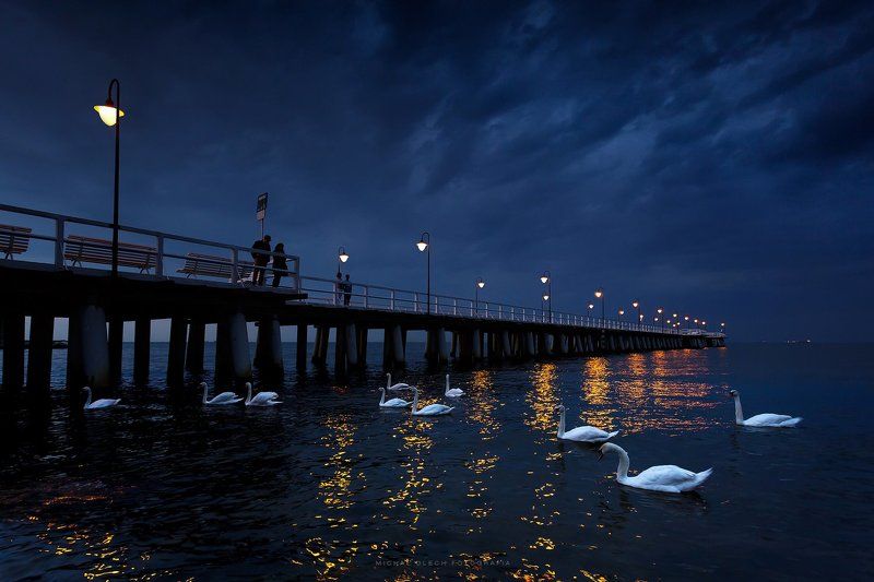 Гдыня, Польша, Gdynia, Poland Пирс фото превью