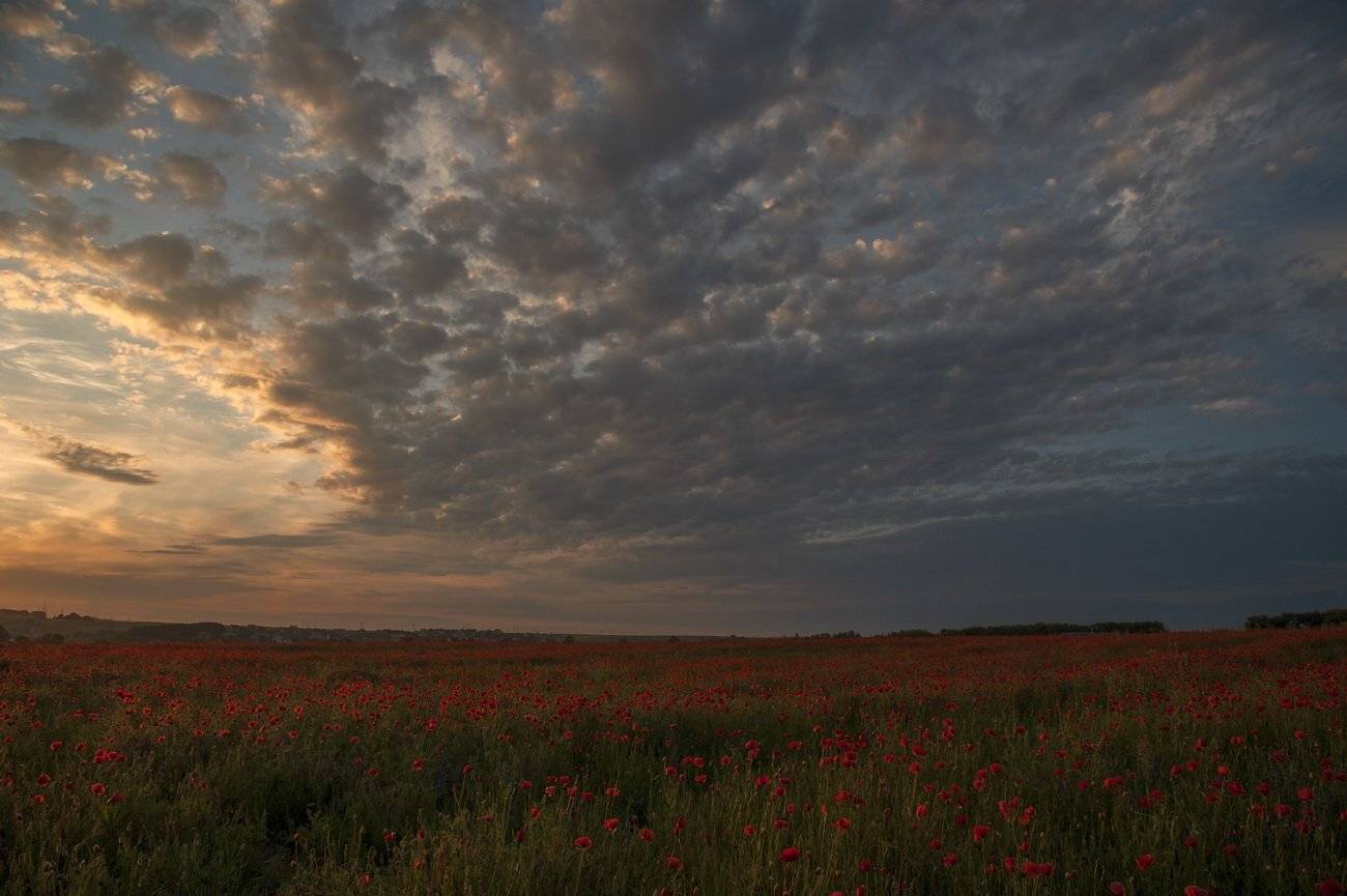, Володимир Карчевський