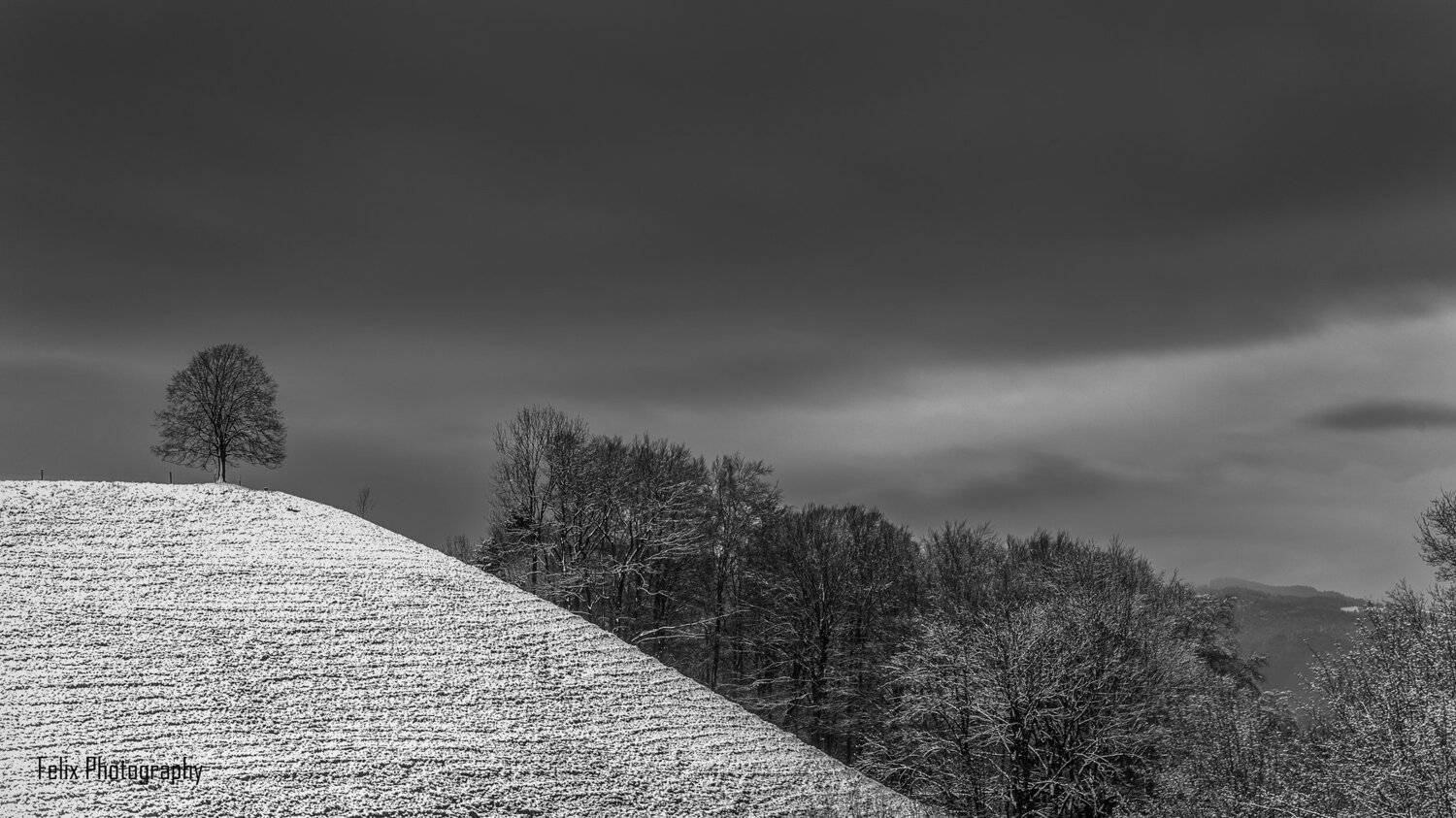 tree,hill,switzerland,sky,B/W, Felix Ostapenko