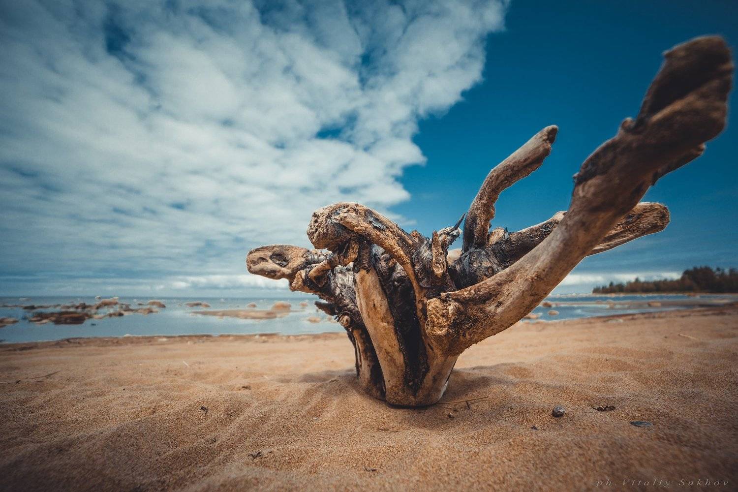 , Сухов Виталий