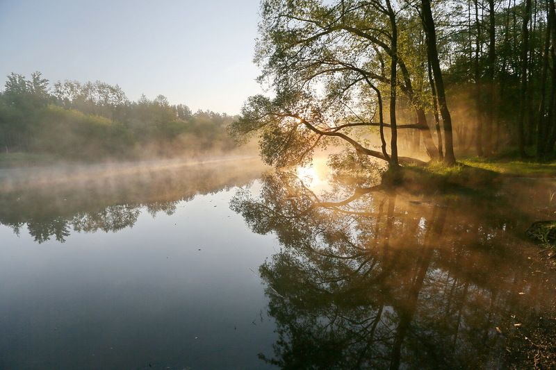 ... в черте города ... 2 фото превью