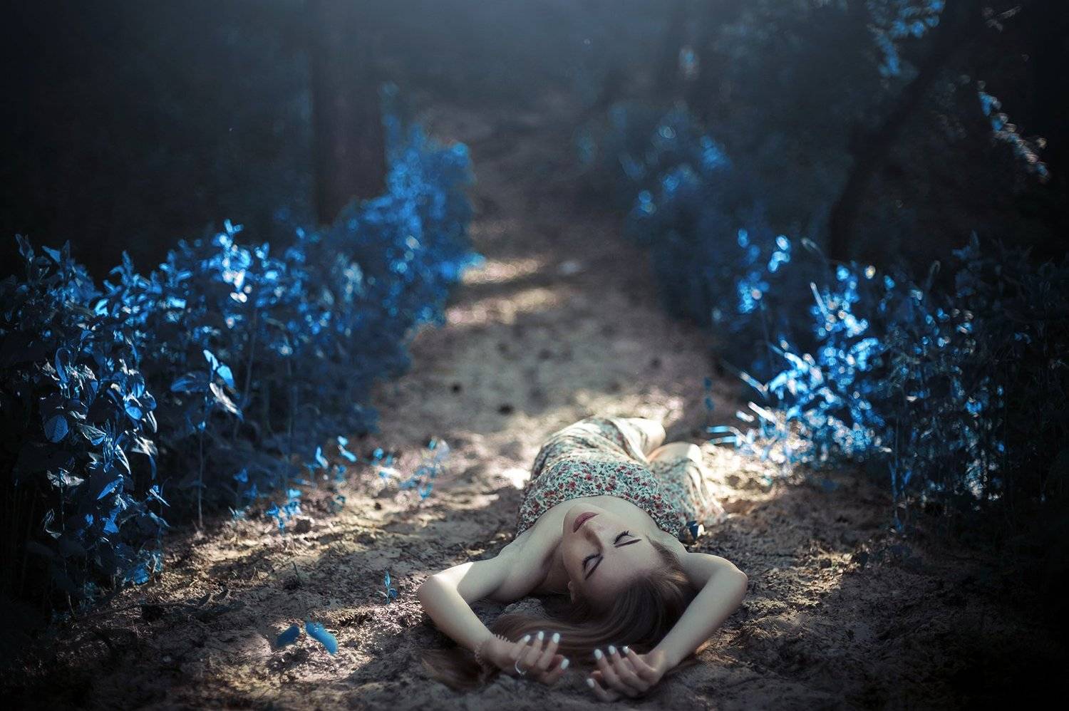 , Заболотнев Мирон