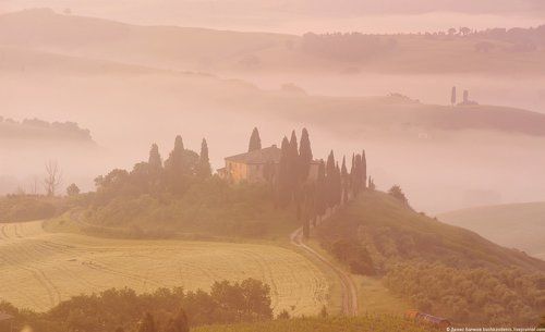morning fog