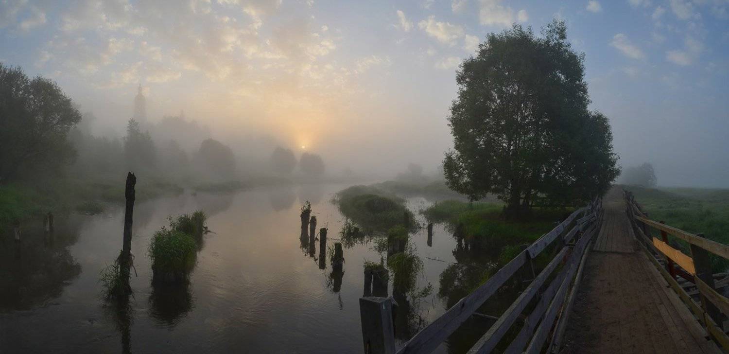 , Света и Вася