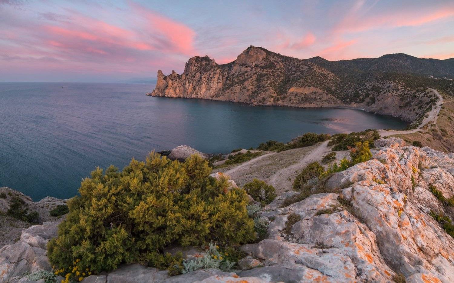 , Николай Мысливцев