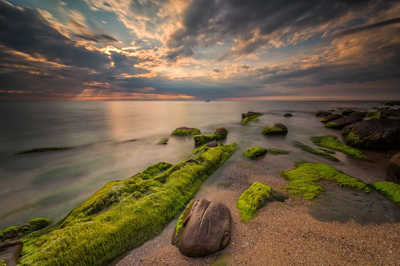 Море утром