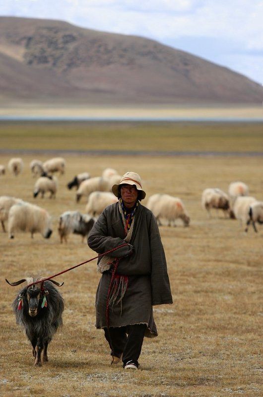 Вернемся к нашим баранам. :) фото превью