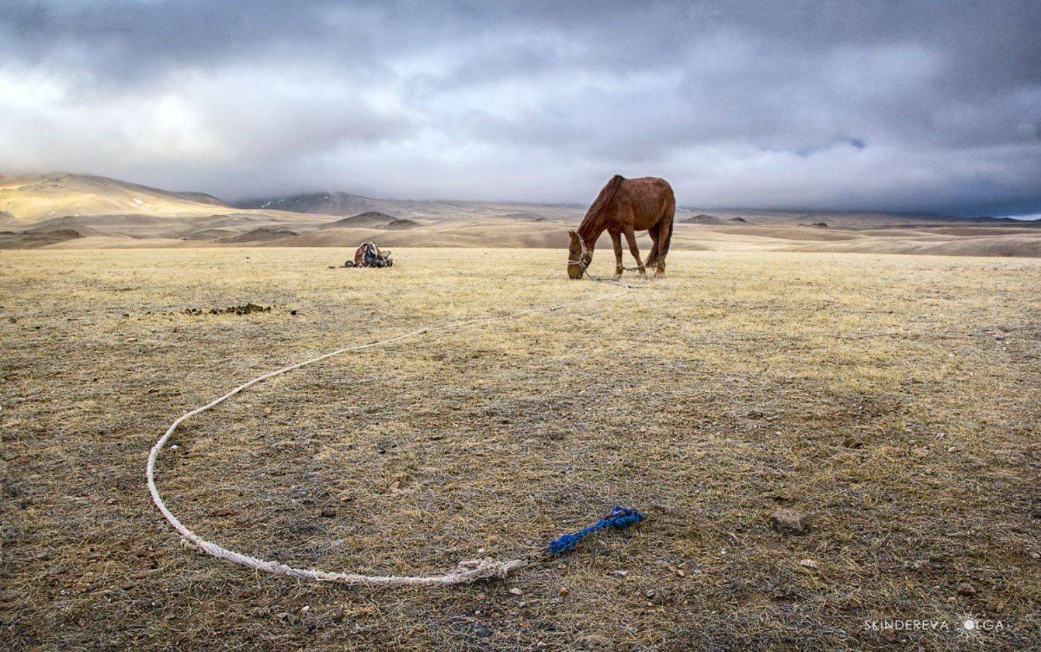Монголия, Скиндерева Ольга
