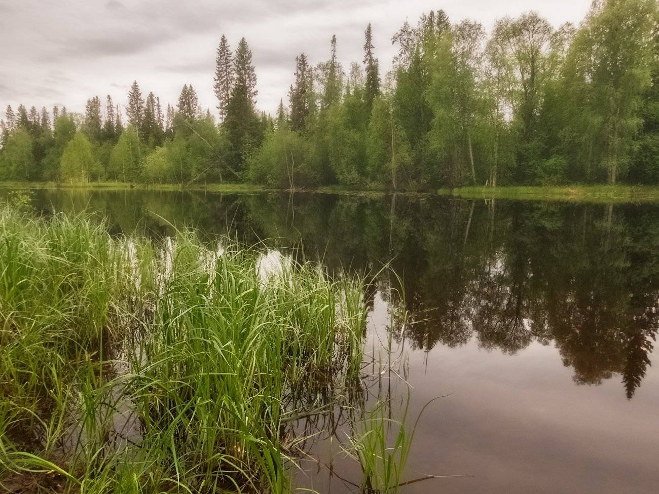 коми, печора, север, Игорь Подобаев