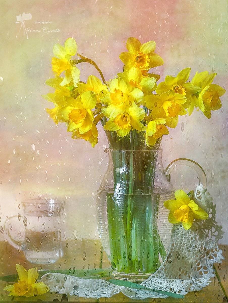 Капли, Кружево, Кувшин, Нарциссы, Стакан, Инна Сухова