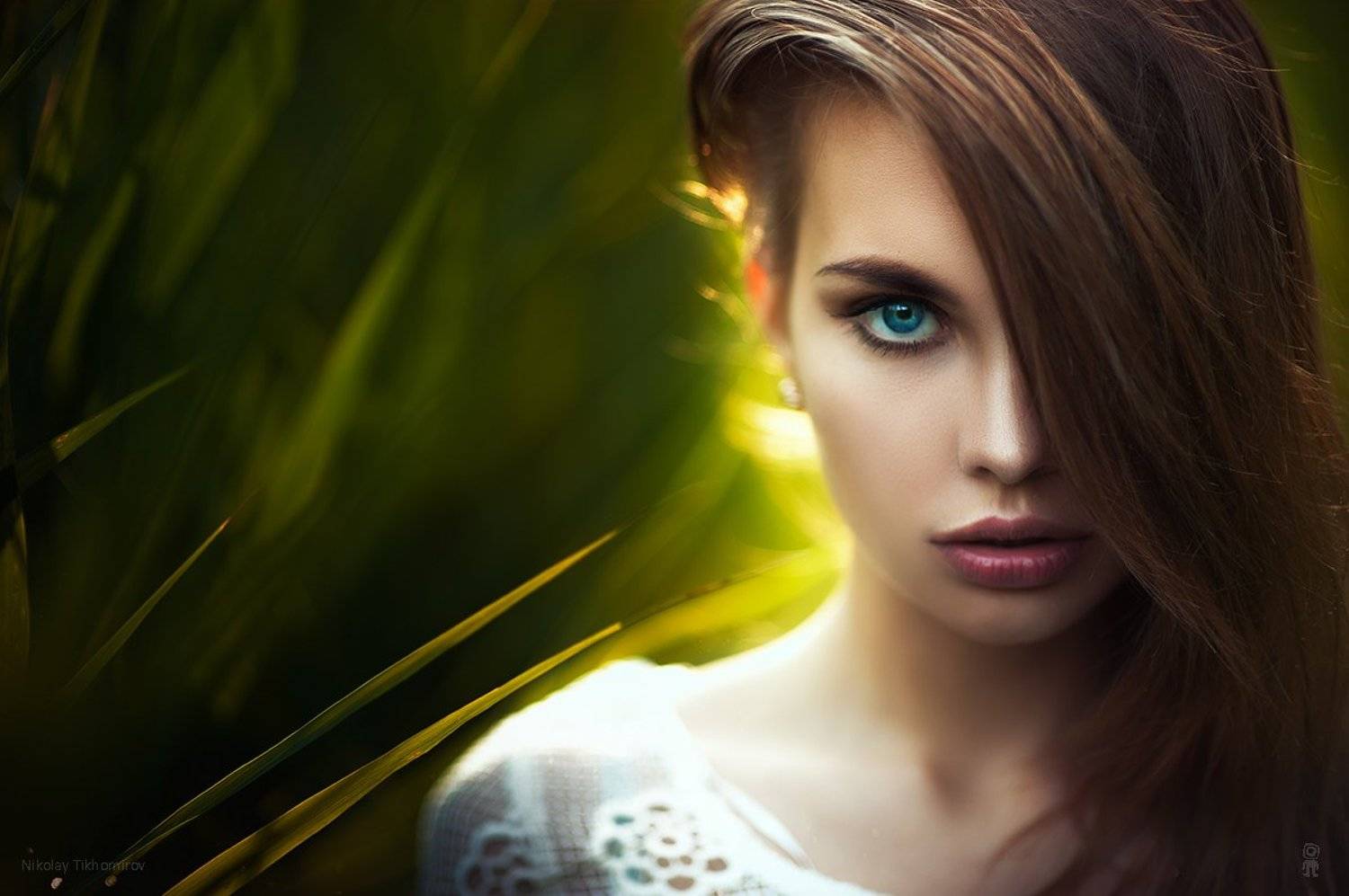 , Тихомиров Николай