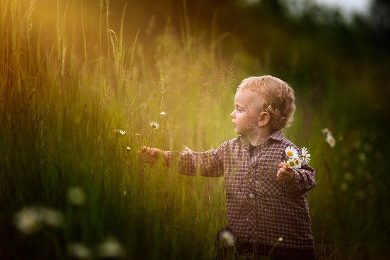 child, children, portrait, boy, nature, grass, meadow, flowers, sun Flowers for mother фото превью