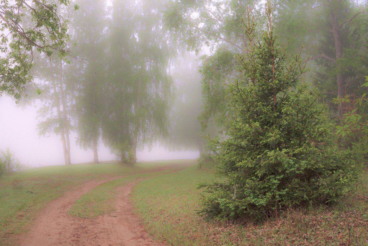 , Николай Морский