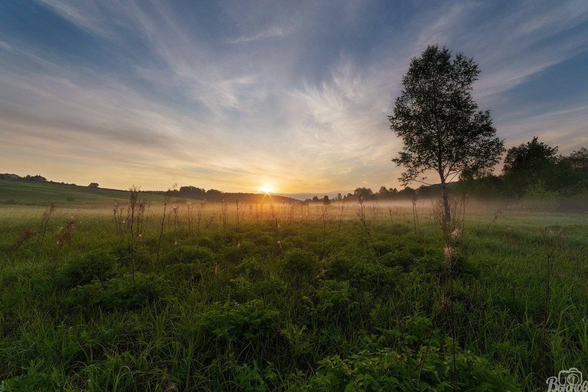 Дмитровский район, Московская область, Подмосковье, Поле, Рассвет, Турбичёво, Утро, Сергей Вьюнов