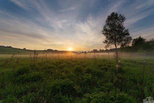 Рассвет в Дмитровском районе