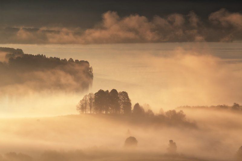 Многоплановость туманного утра фото превью