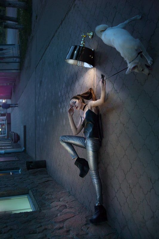 Beauty, Dog, Fashion, Model, Style, Twofold Atmosphere Twofold Atmosphere фото превью