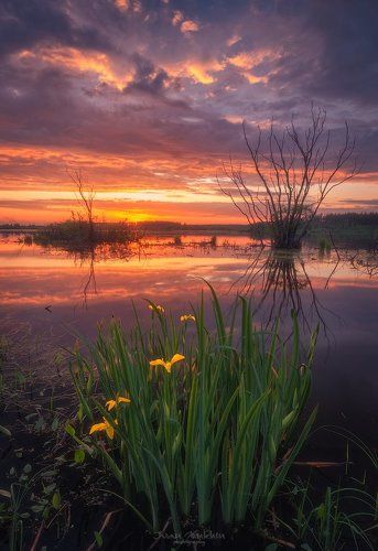 В вечернем огне
