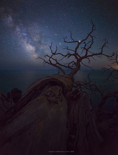 Ночной союз