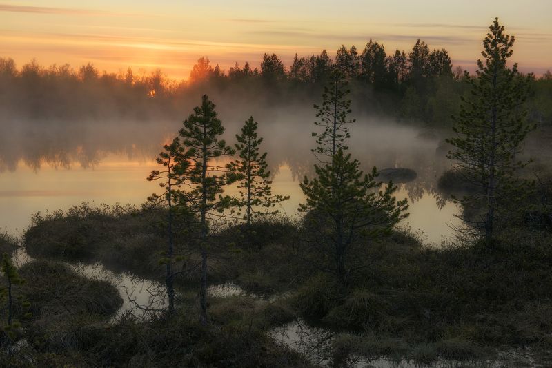 Майская ночь за полярным кругом... фото превью