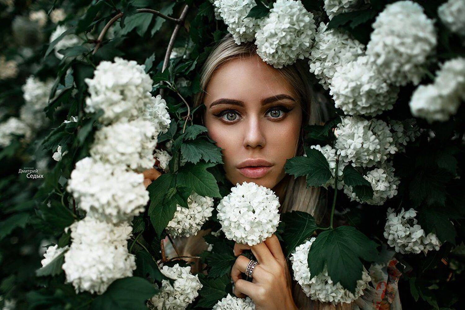 , Седых Дмитрий