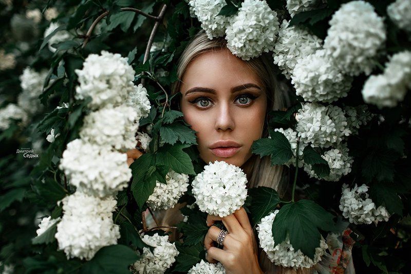 ... фото превью