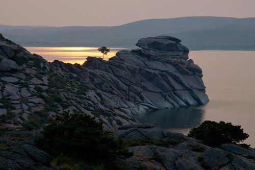 Мыс одинокой сосны.