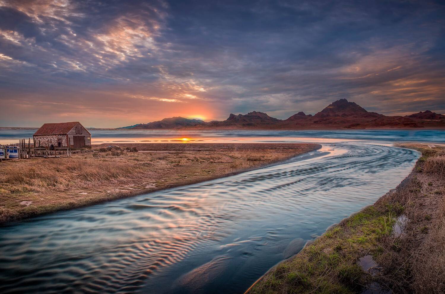 , Миша Шнеер