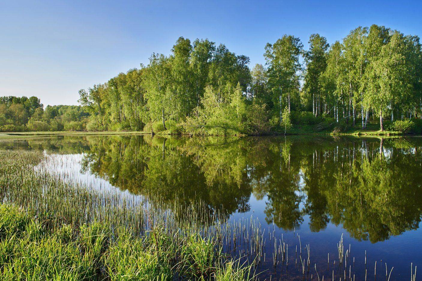 , Сергей Романчук