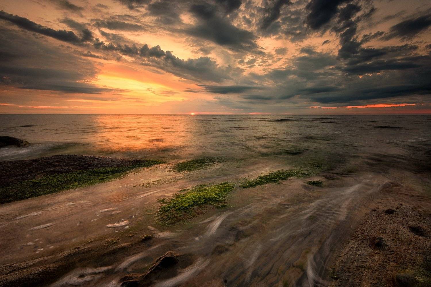 , Весела Маринова