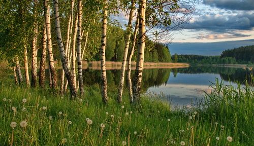 А мне б в березовые рощи, с бетонных вырваться оков...