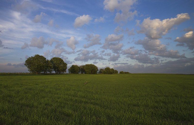 Простые пейзажи фото превью
