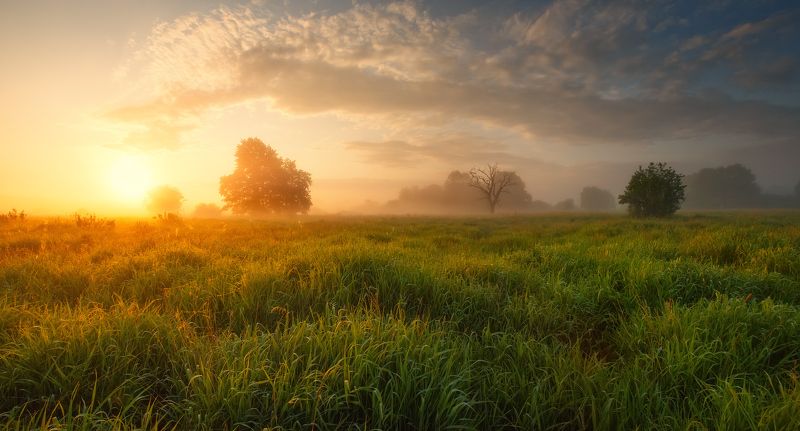 Июньский рассвет фото превью
