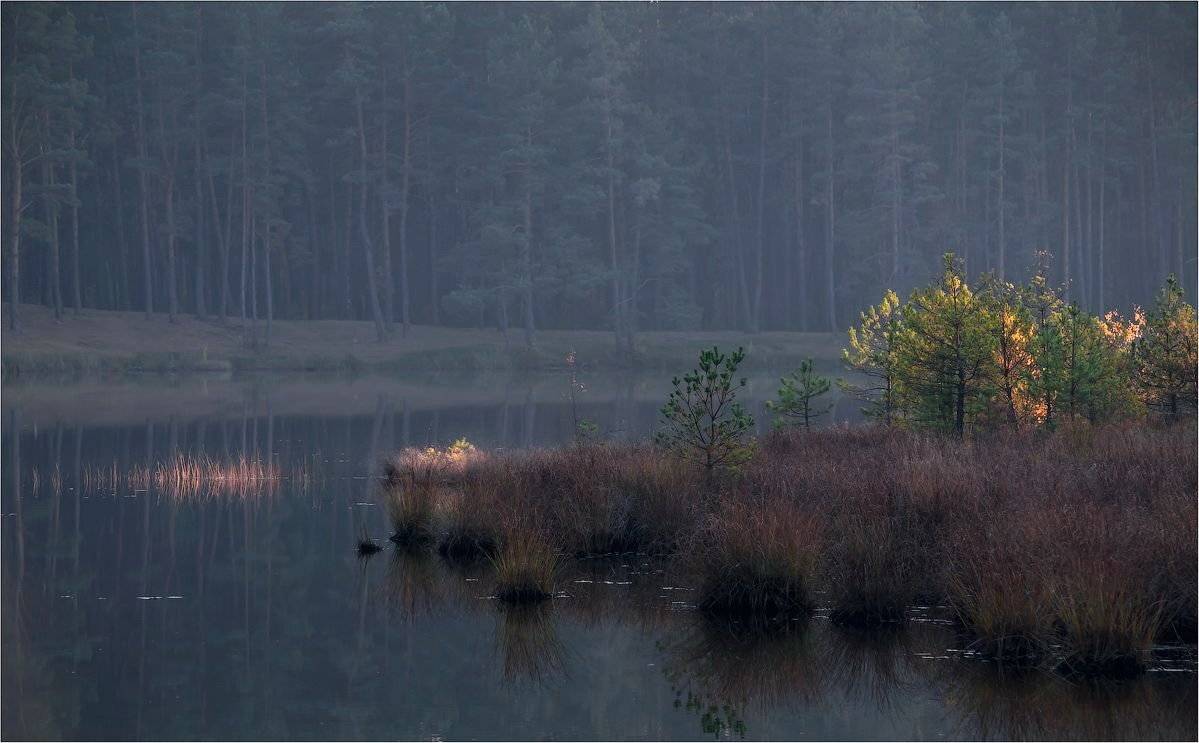 , Александр Маковский