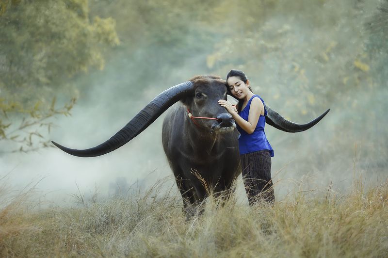 Asia, Asian, Bearfoot, Beautiful, Buffalo, Fashion, Thai, Woman Mood фото превью