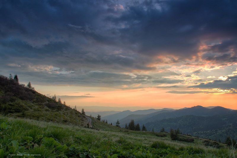 Лисичья фото превью