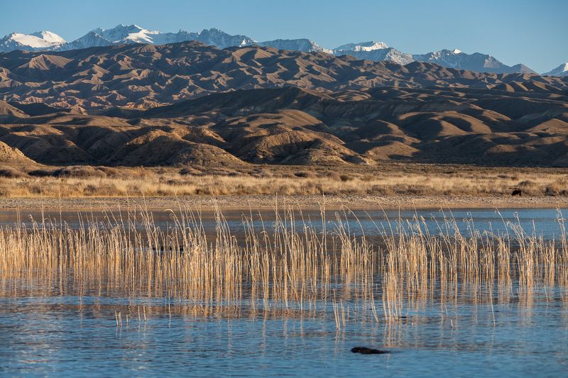 образ края фото превью