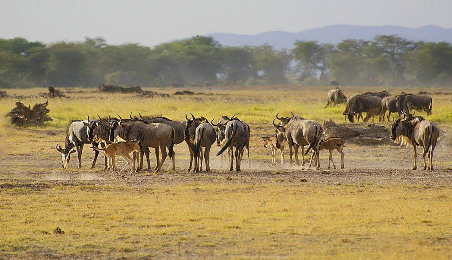 , Марина Мудрова