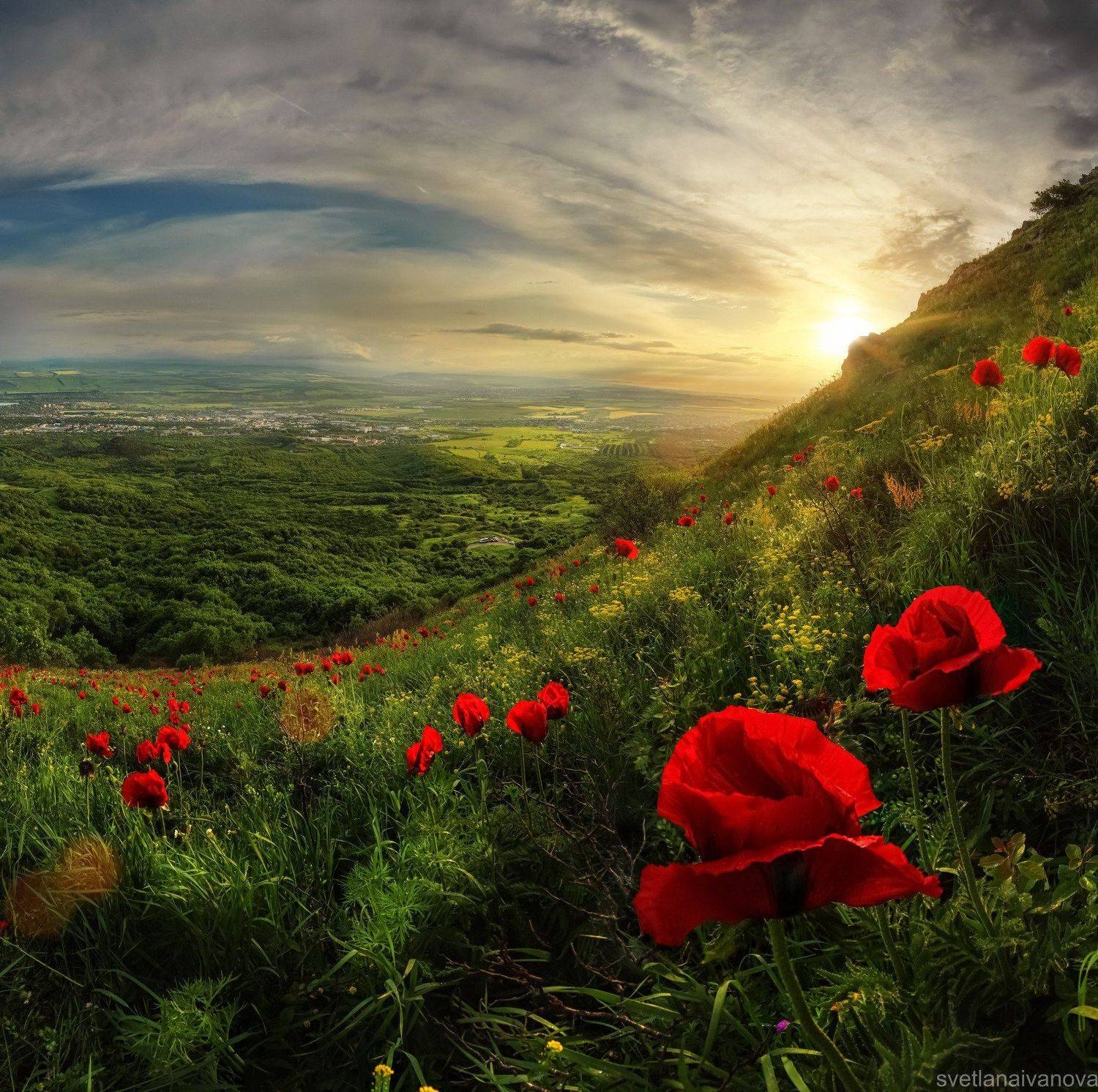 Бештау, Закат, Маки, Светлана Иванова