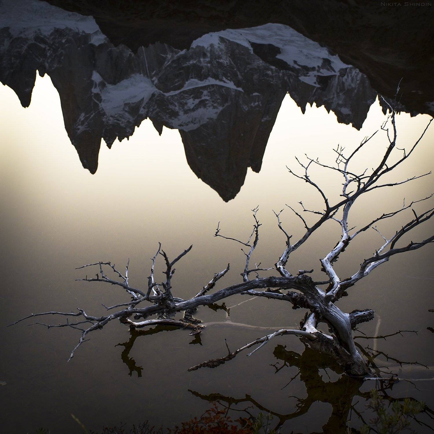 фицрой, Никита Шиндин