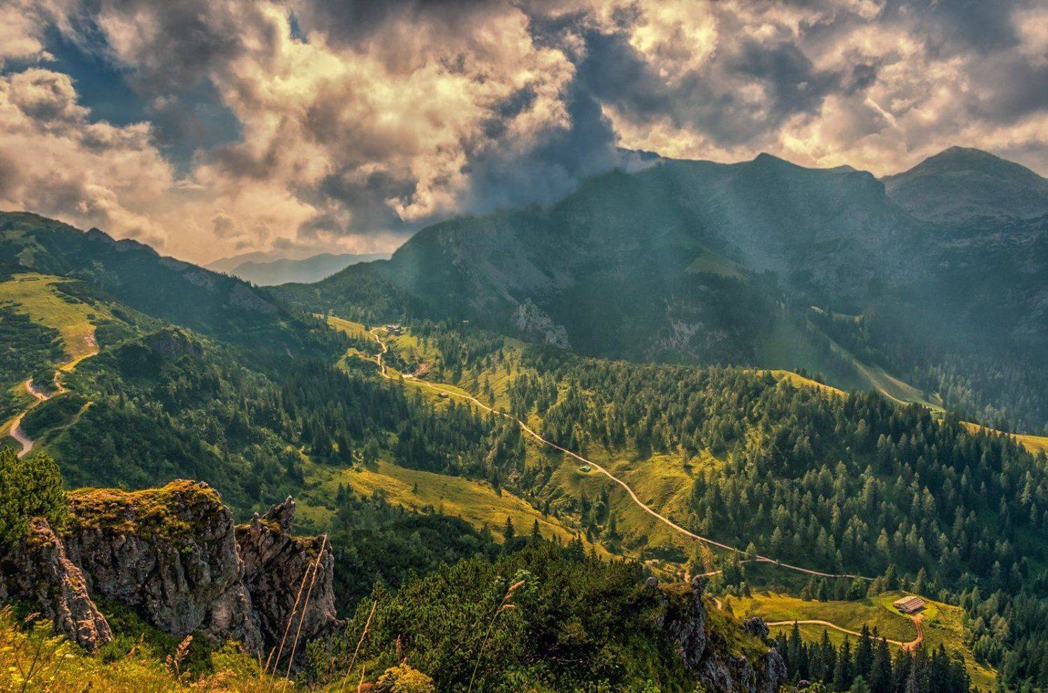 , Игорь Мелекесцев