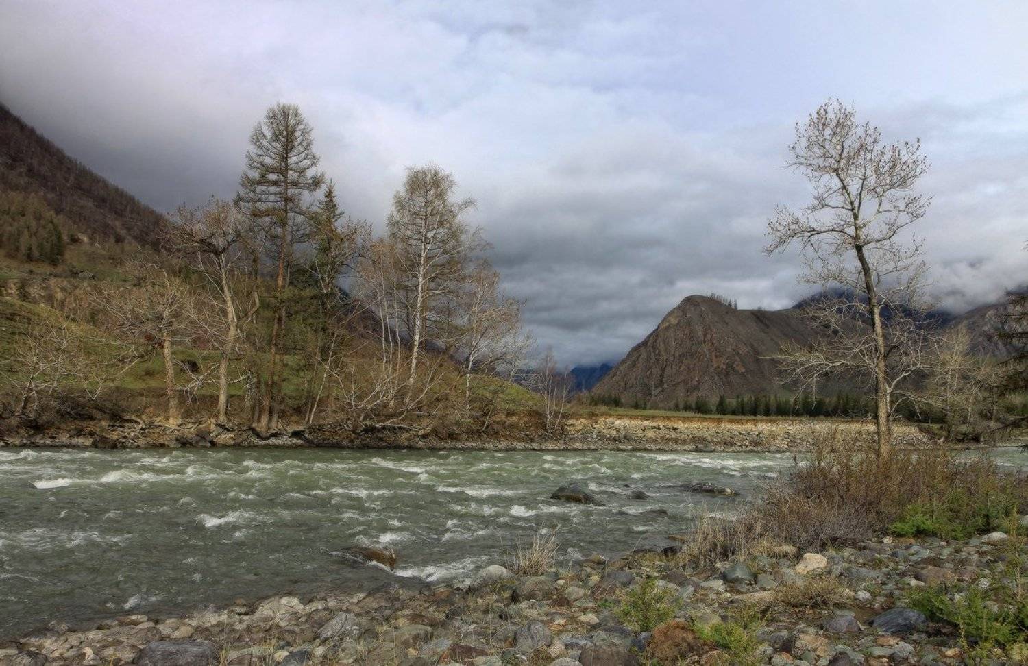 , Галина Хвостенко