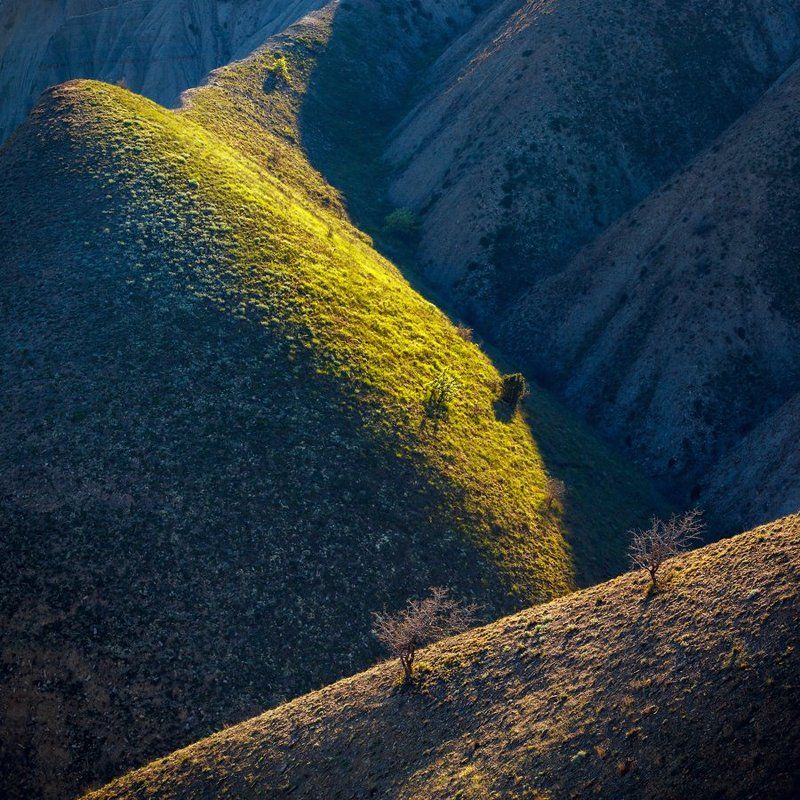 Оазис фото превью