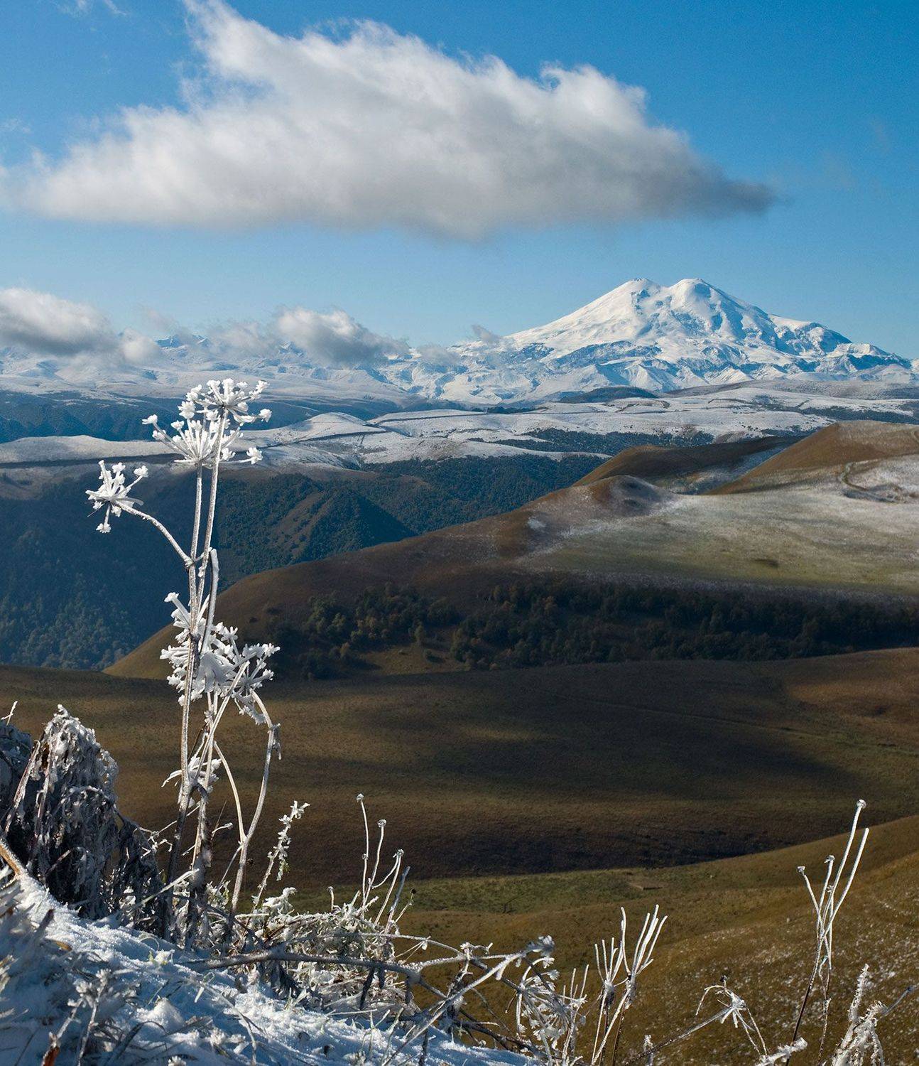 , Хасан Журтов