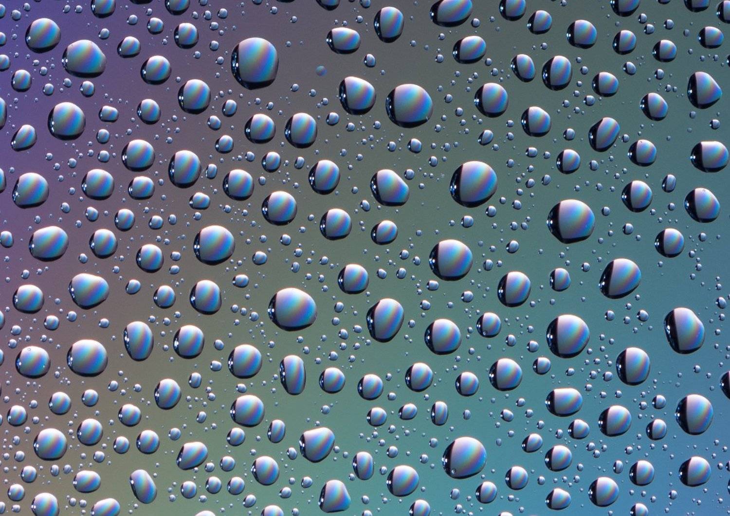 вода, капли, стекло, пластик, макро, предметка, радуга, Анатолий Тимофеев