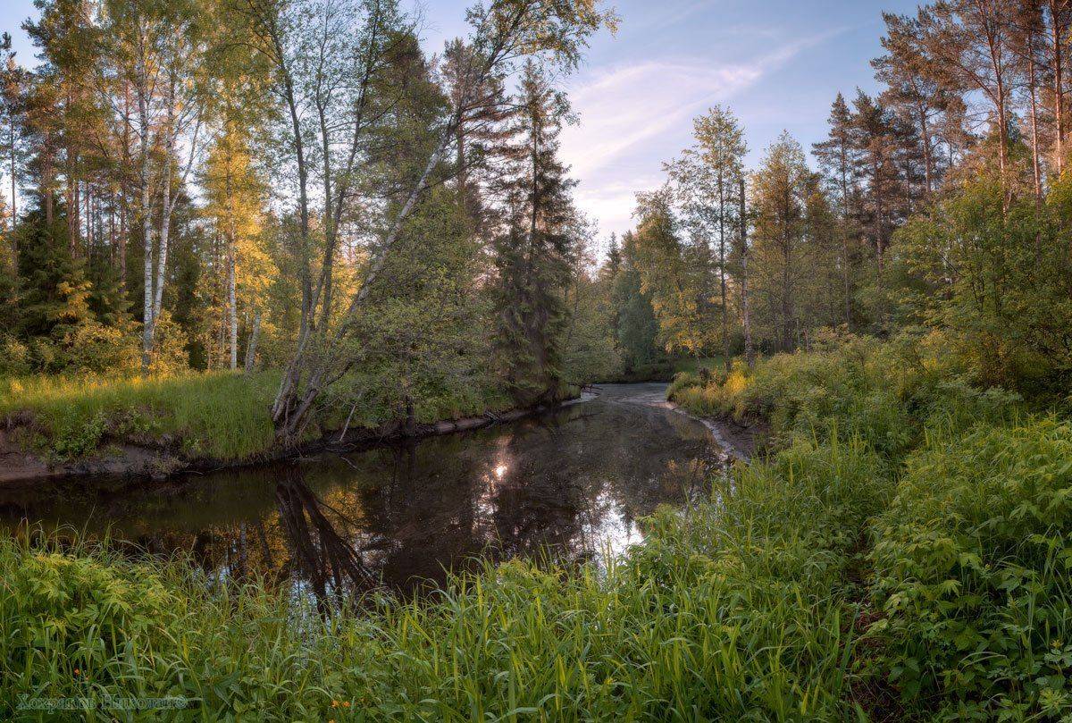 , Хохряков Николай