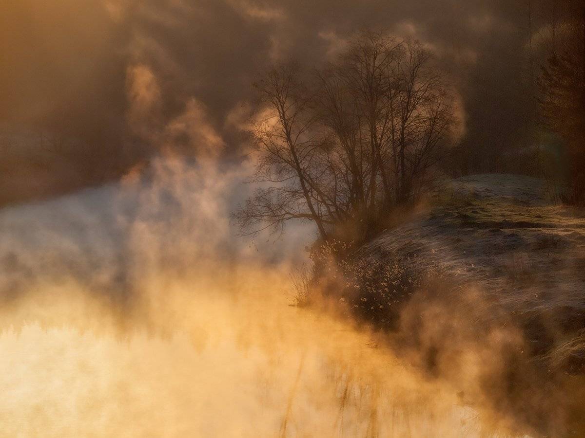, Владимир Перепечаев