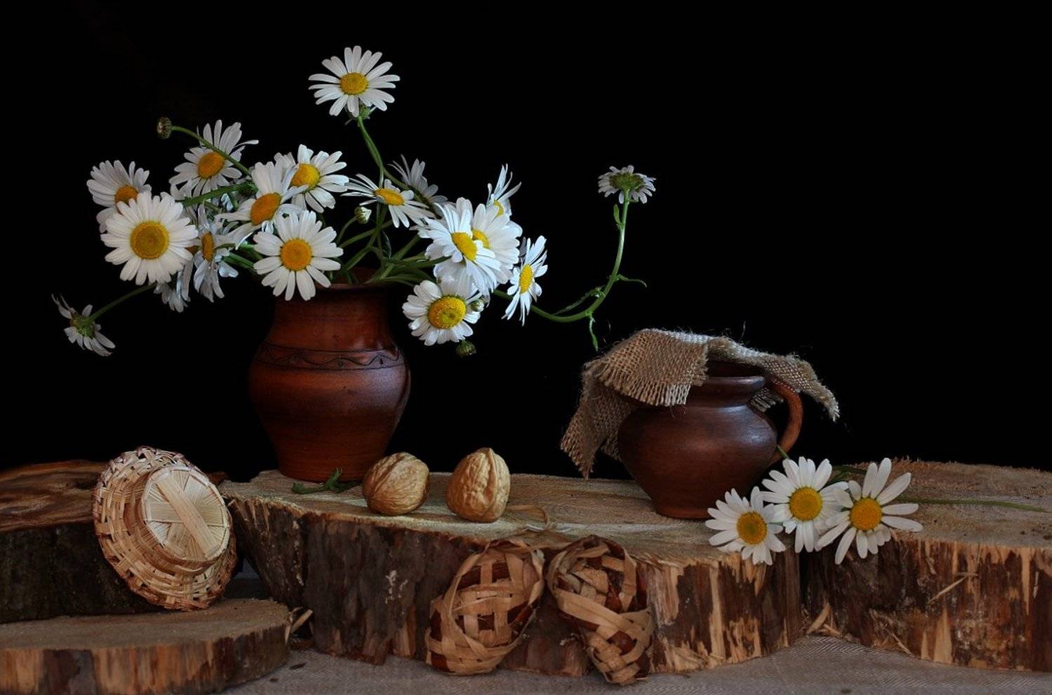 натюрморт, цветы, ромашки, кувшин, горшочек, глина, дерево, пенек, Шруб (Беляева) Татьяна